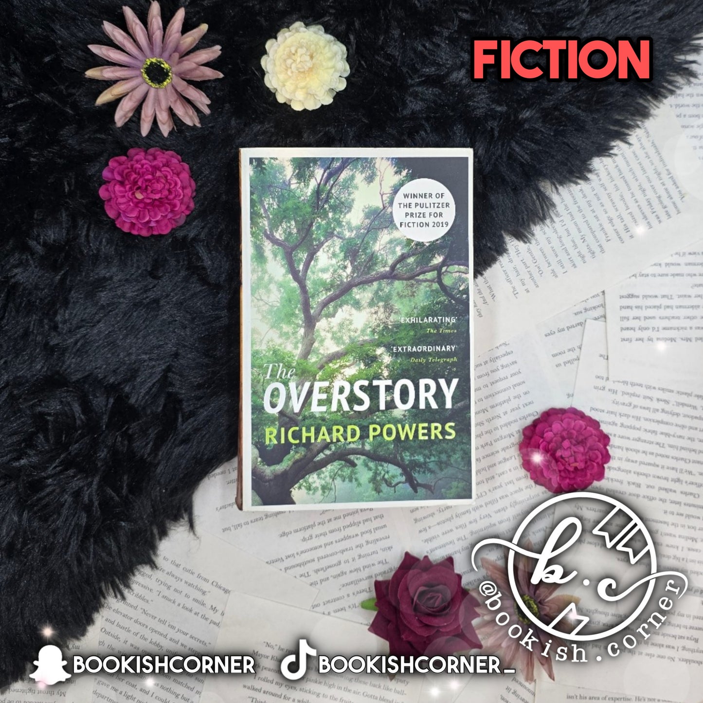 The Overstory By Richard Powers