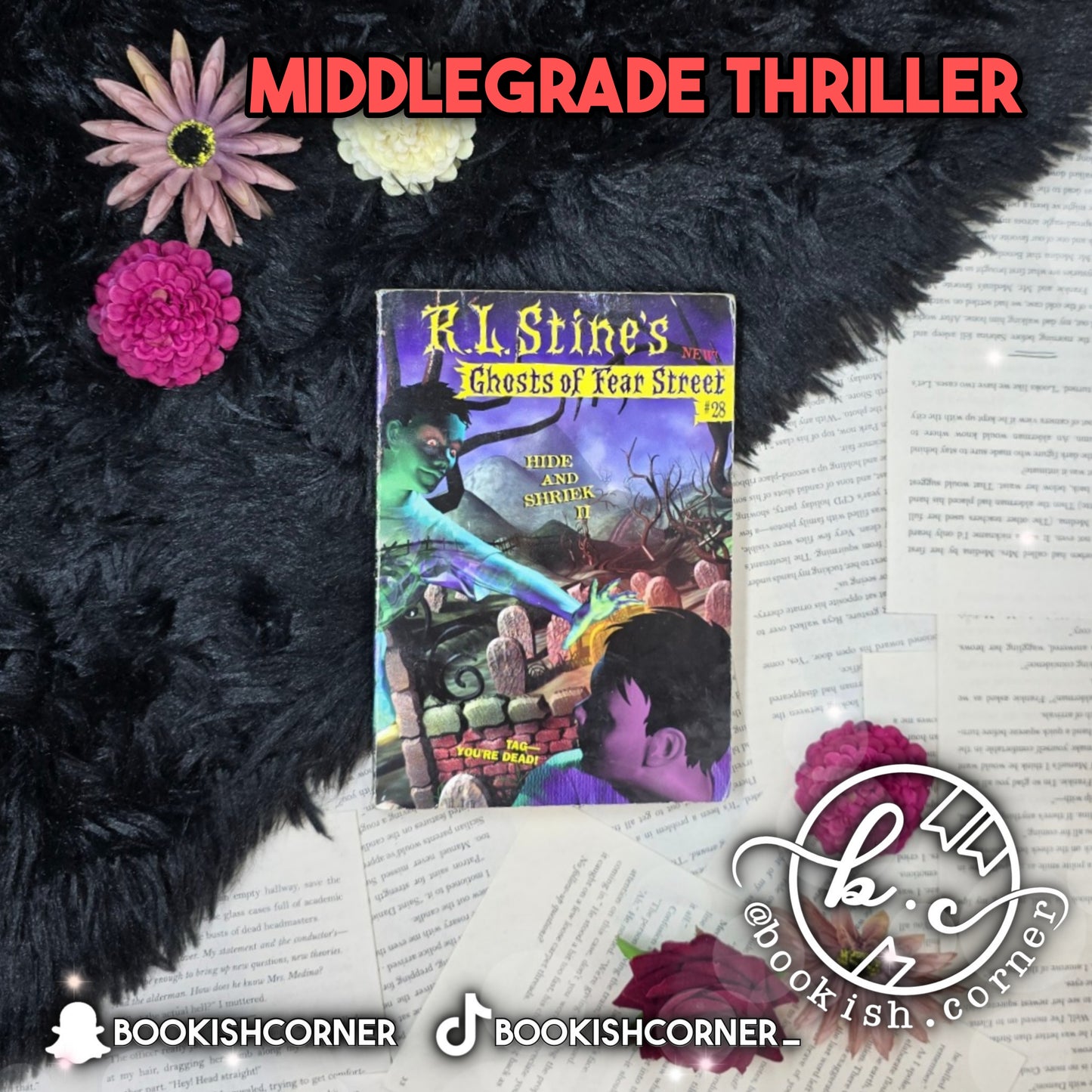 Hide and Shriek II By R L Stine