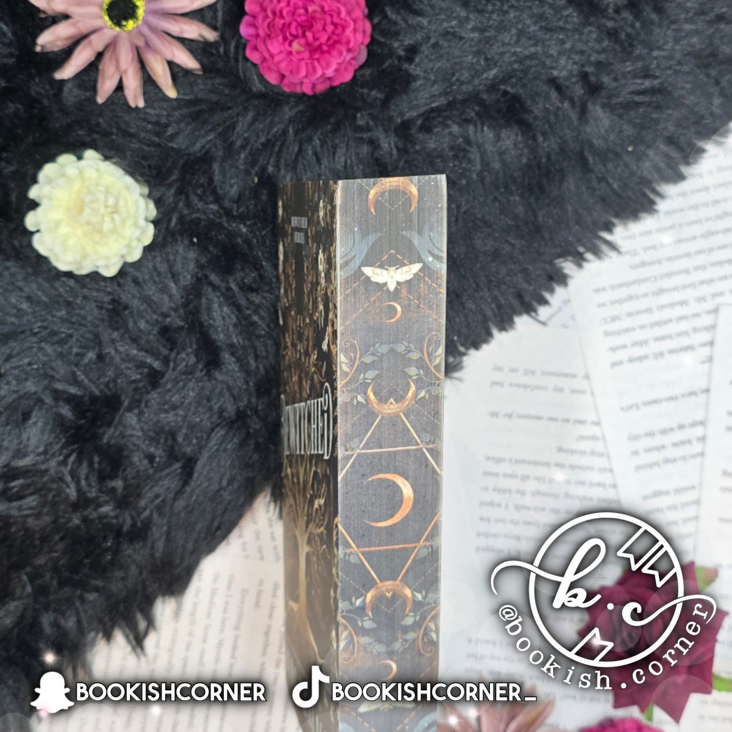 Bewitched By Laura Thalassa