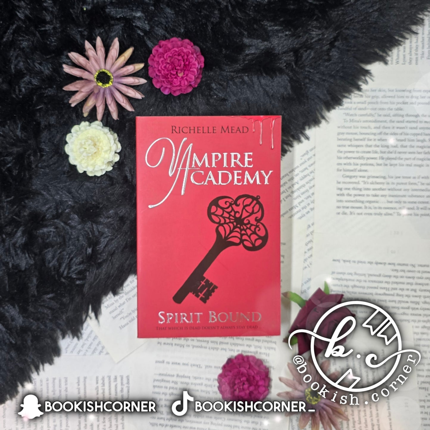 Vampire Academy Books By Richelle Mead