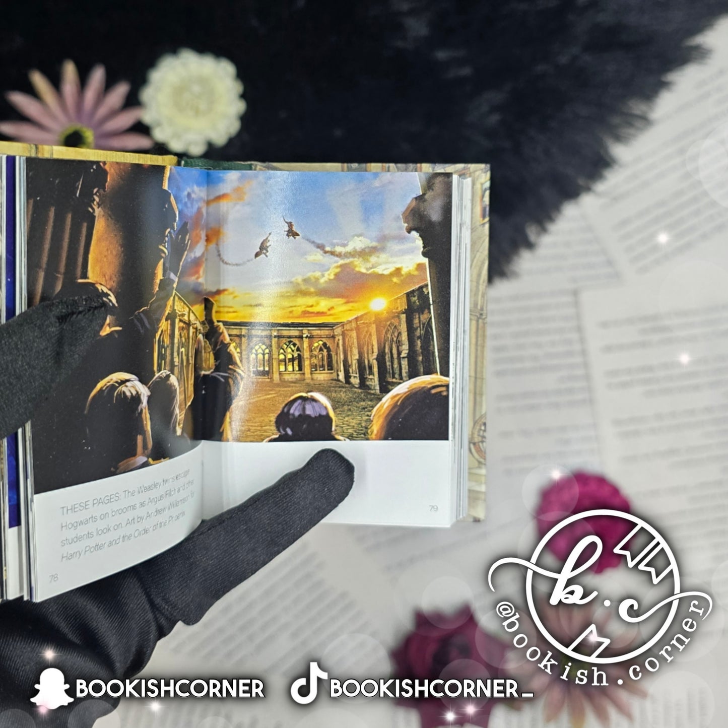 The Art of Harry Potter : Mini Book of Magical Places