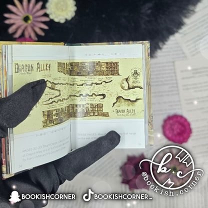 The Art of Harry Potter : Mini Book of Magical Places