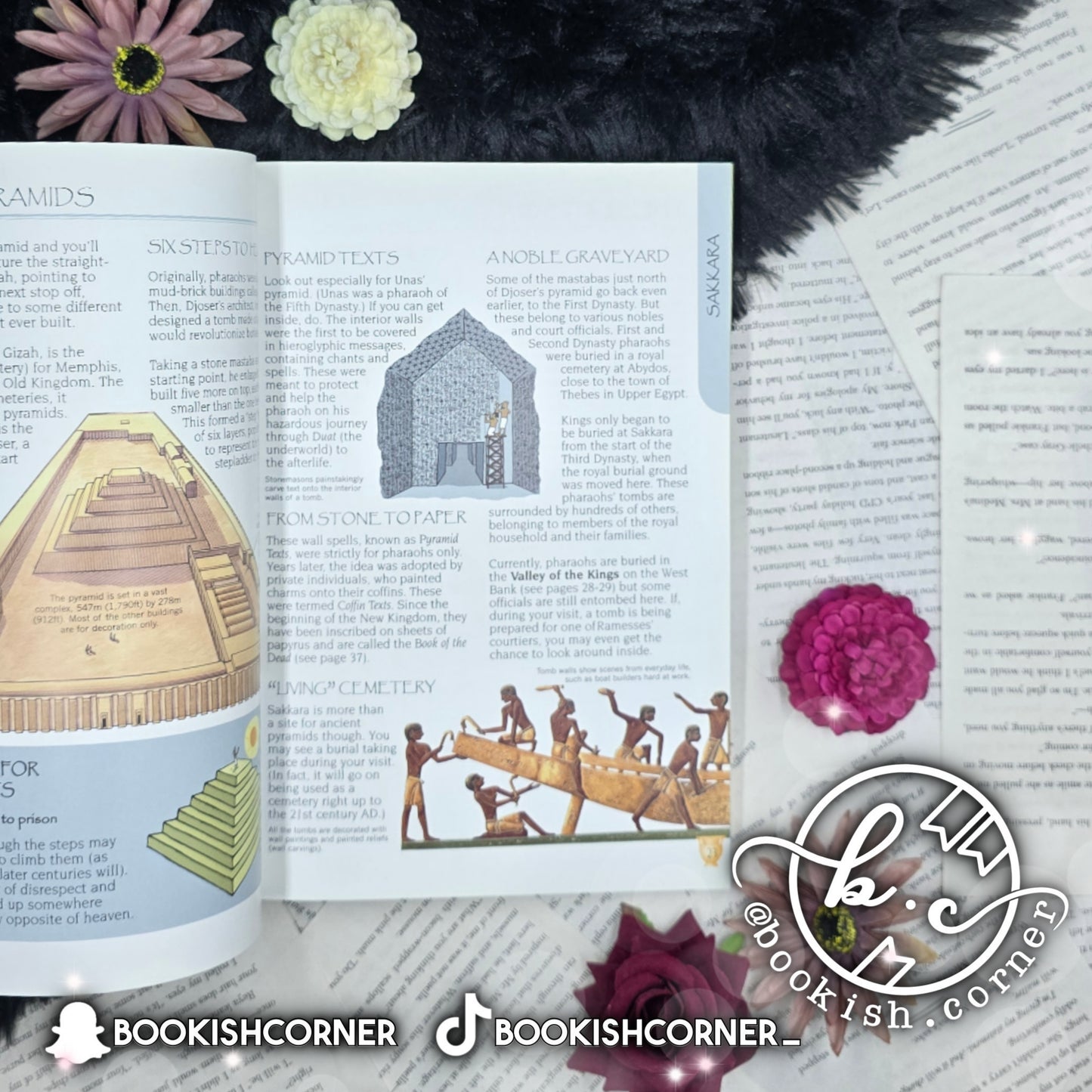 A Visitor's Guide to the Ancient World By Lesley Sims