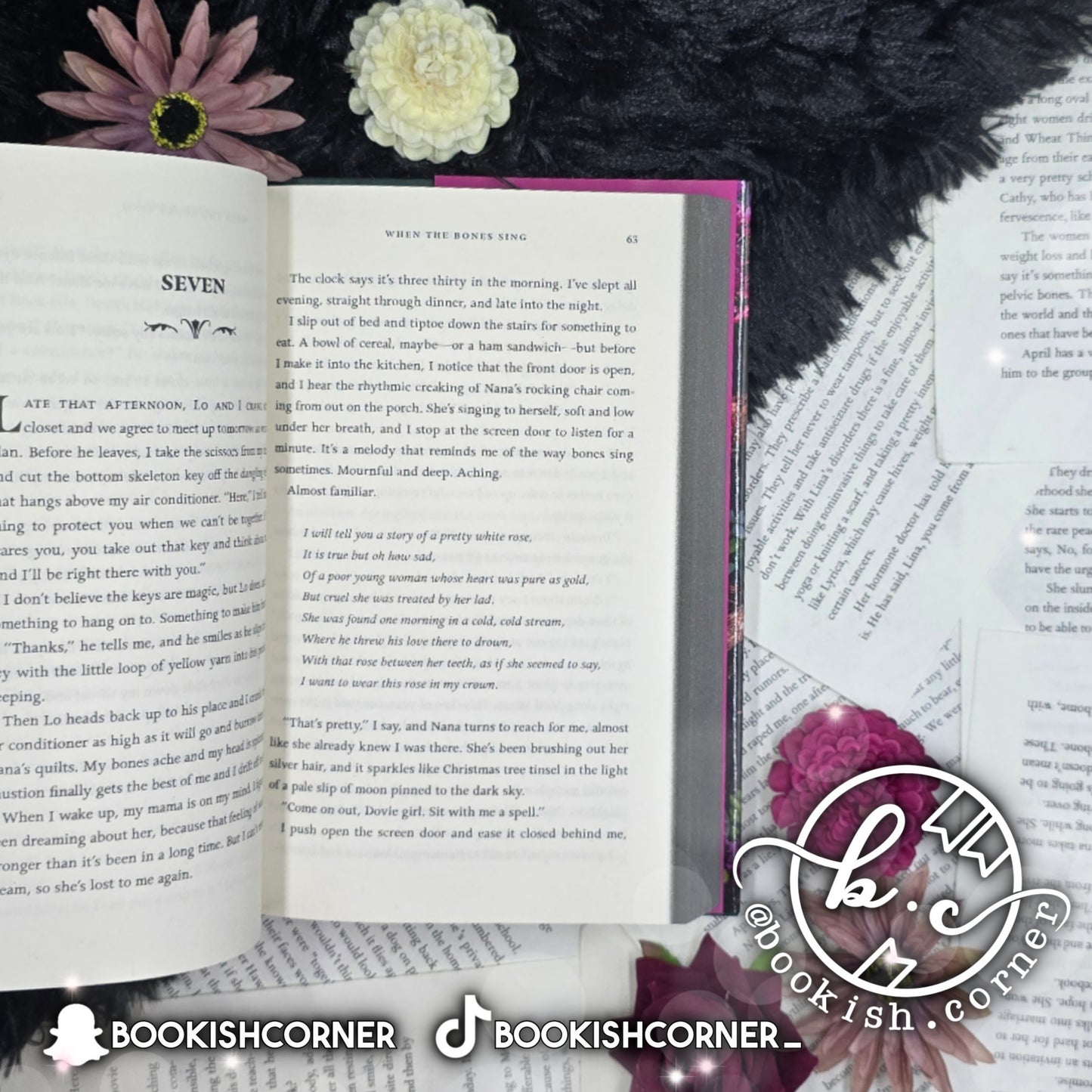 When The Bones Sing By Ginny Myers Sain