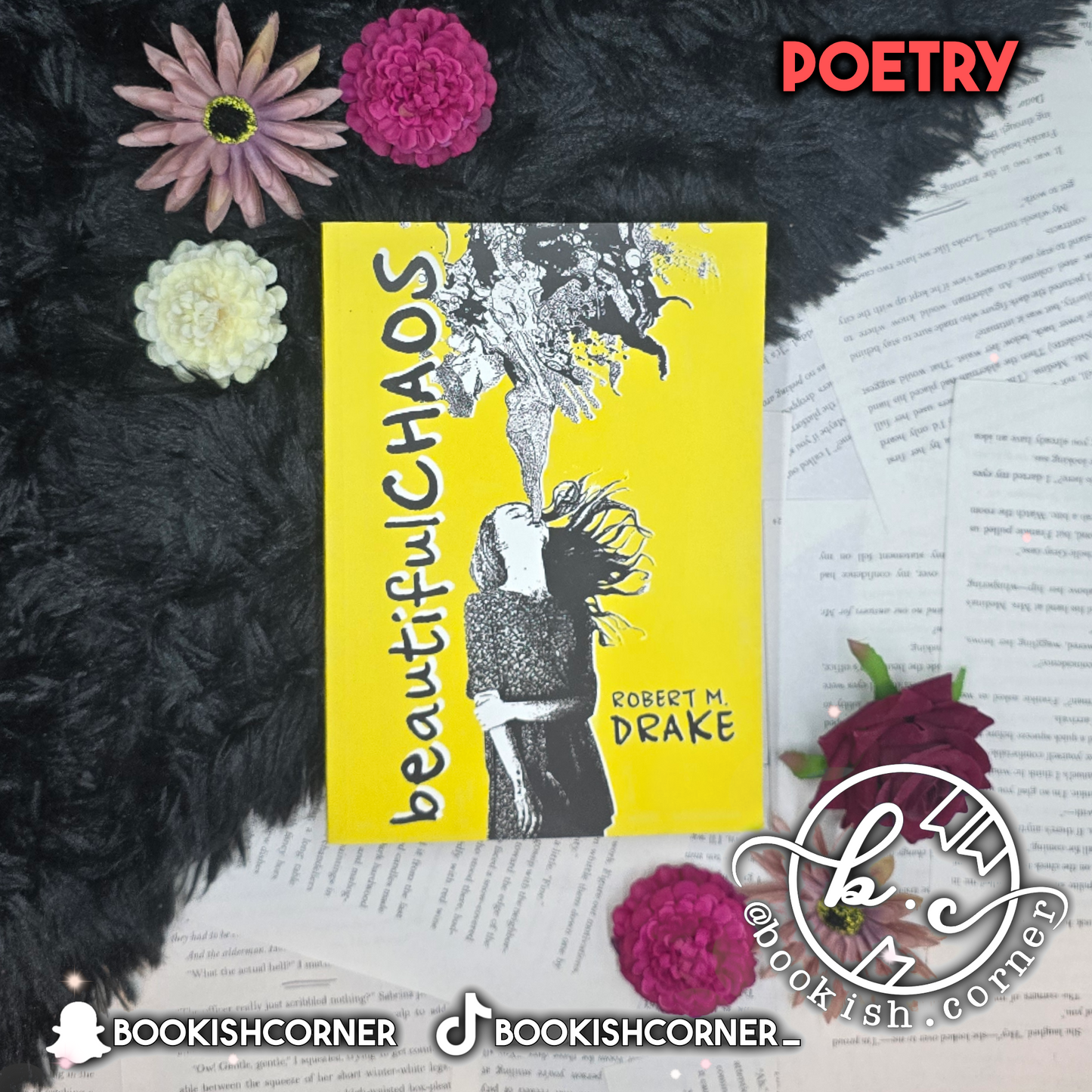 Beautiful Chaos By Robert Drake