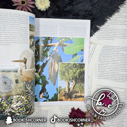 Olives And Lemons By Shirley Kay