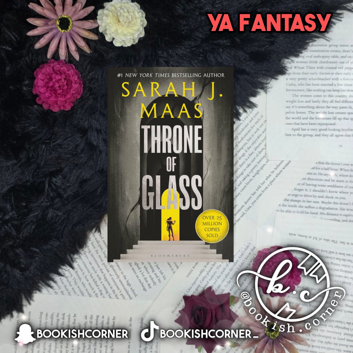 Throne of Glass By Sarah J Maas