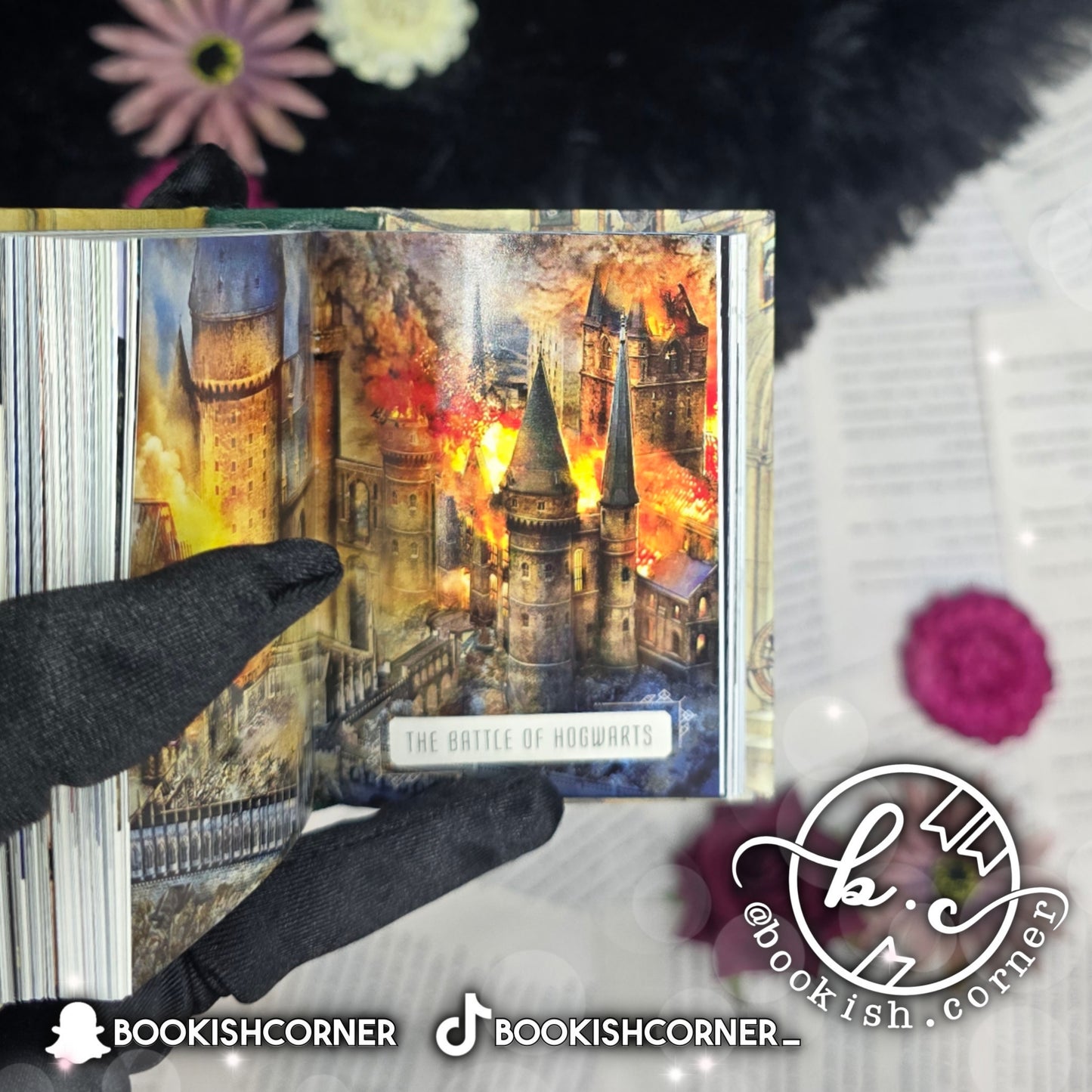 The Art of Harry Potter : Mini Book of Magical Places