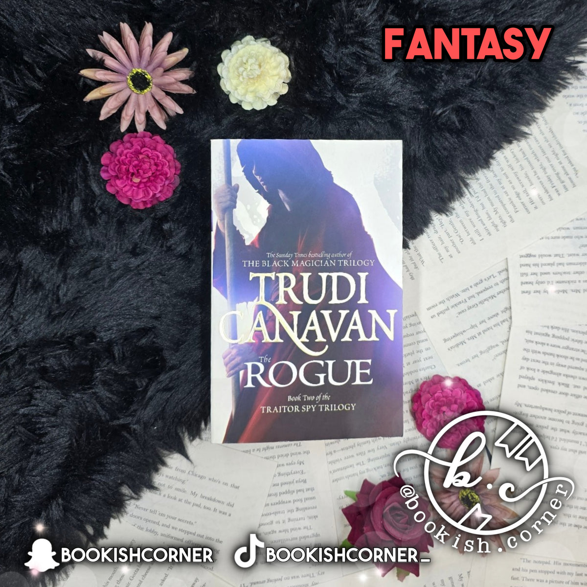 The Rogue By Trudi Canavan