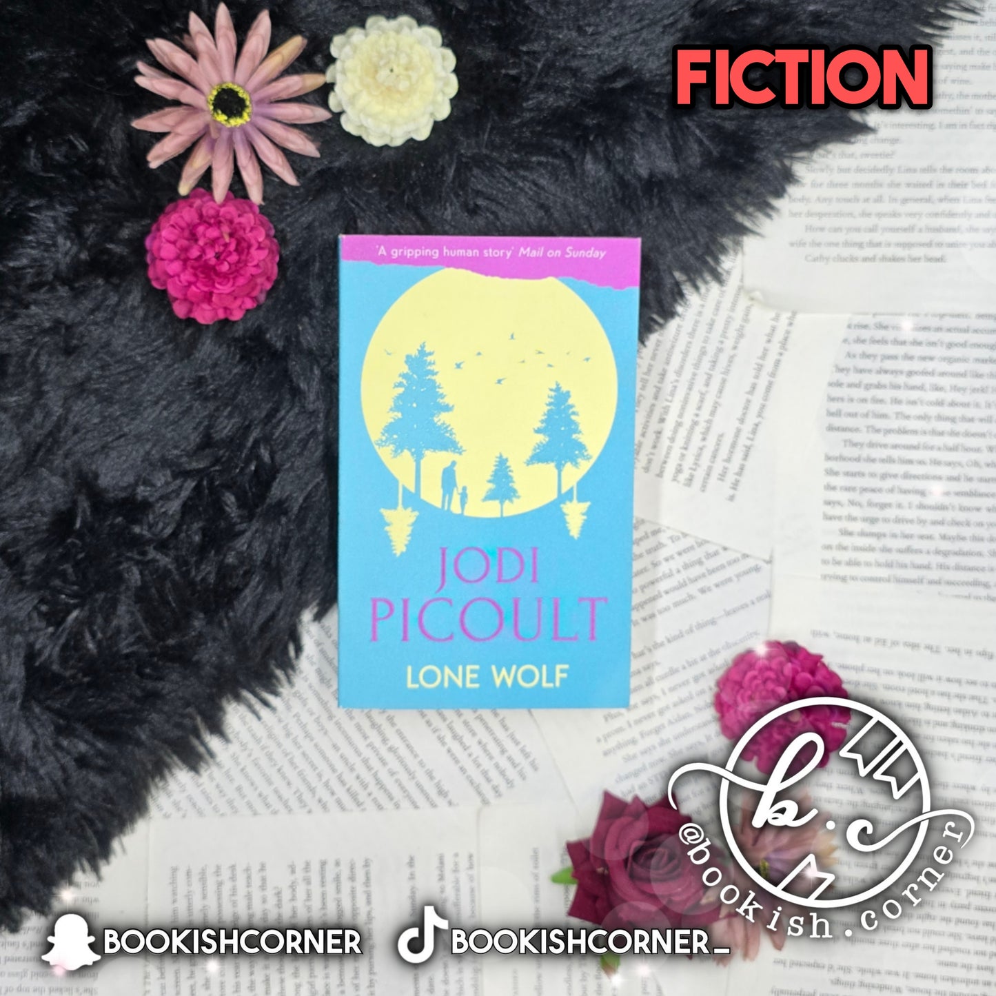 Lone Wolf By Jodi Picoult