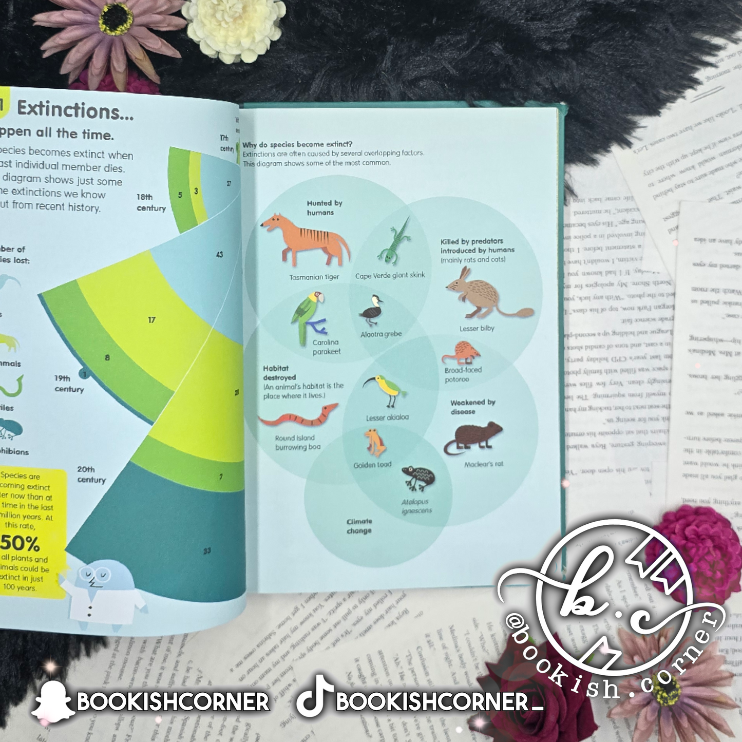 See Inside Science By Alex Frith