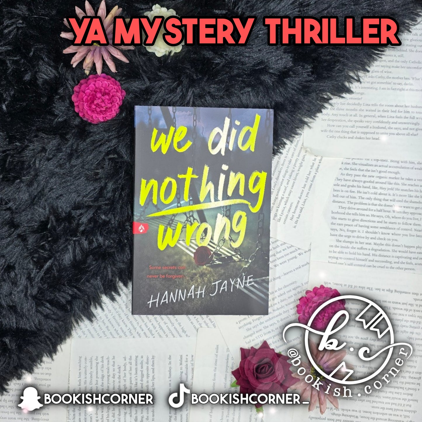 We Did Nothing Wrong By Hannah Jayne