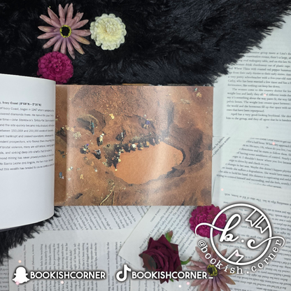 The New Earth From Above 365 Days By Yann Arthus Bertrand