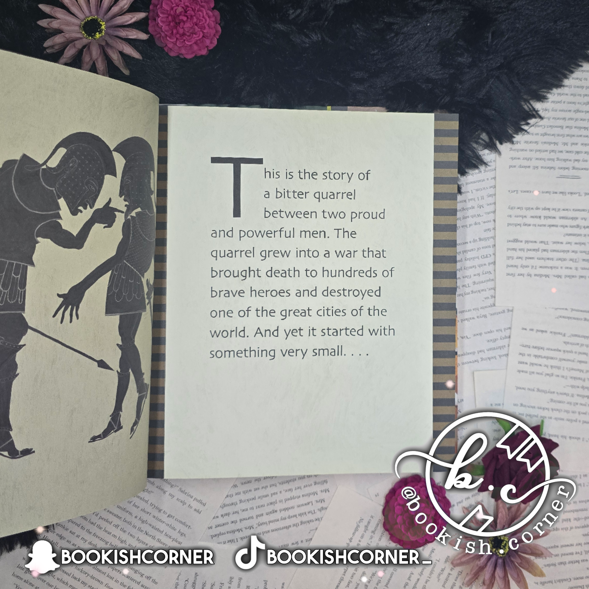 The Iliad By Gillian Cross