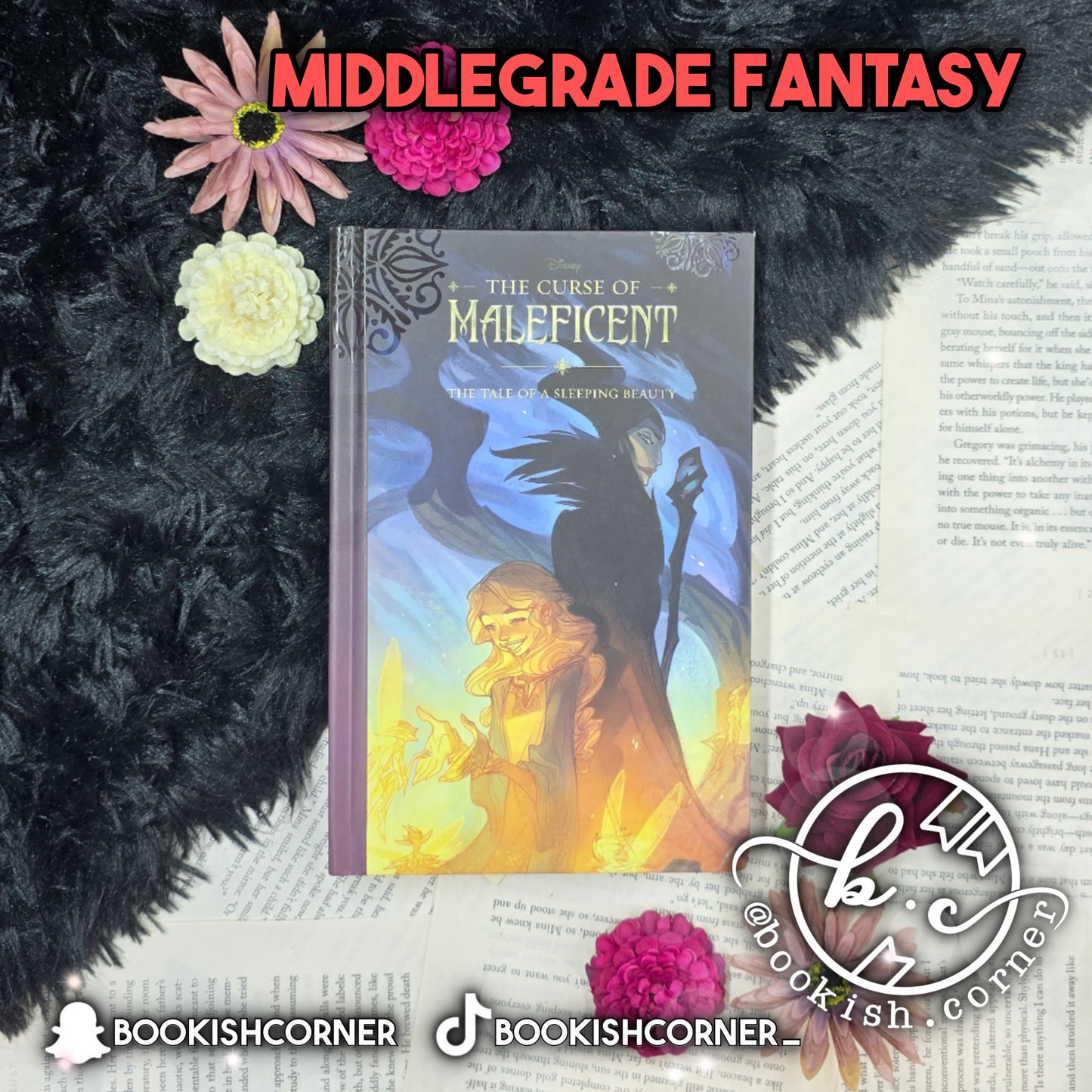 The Curse of Maleficent: The Tale of a Sleeping Beauty