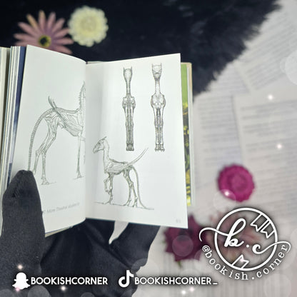 The Art of Harry Potter : Mini Book of Creatures