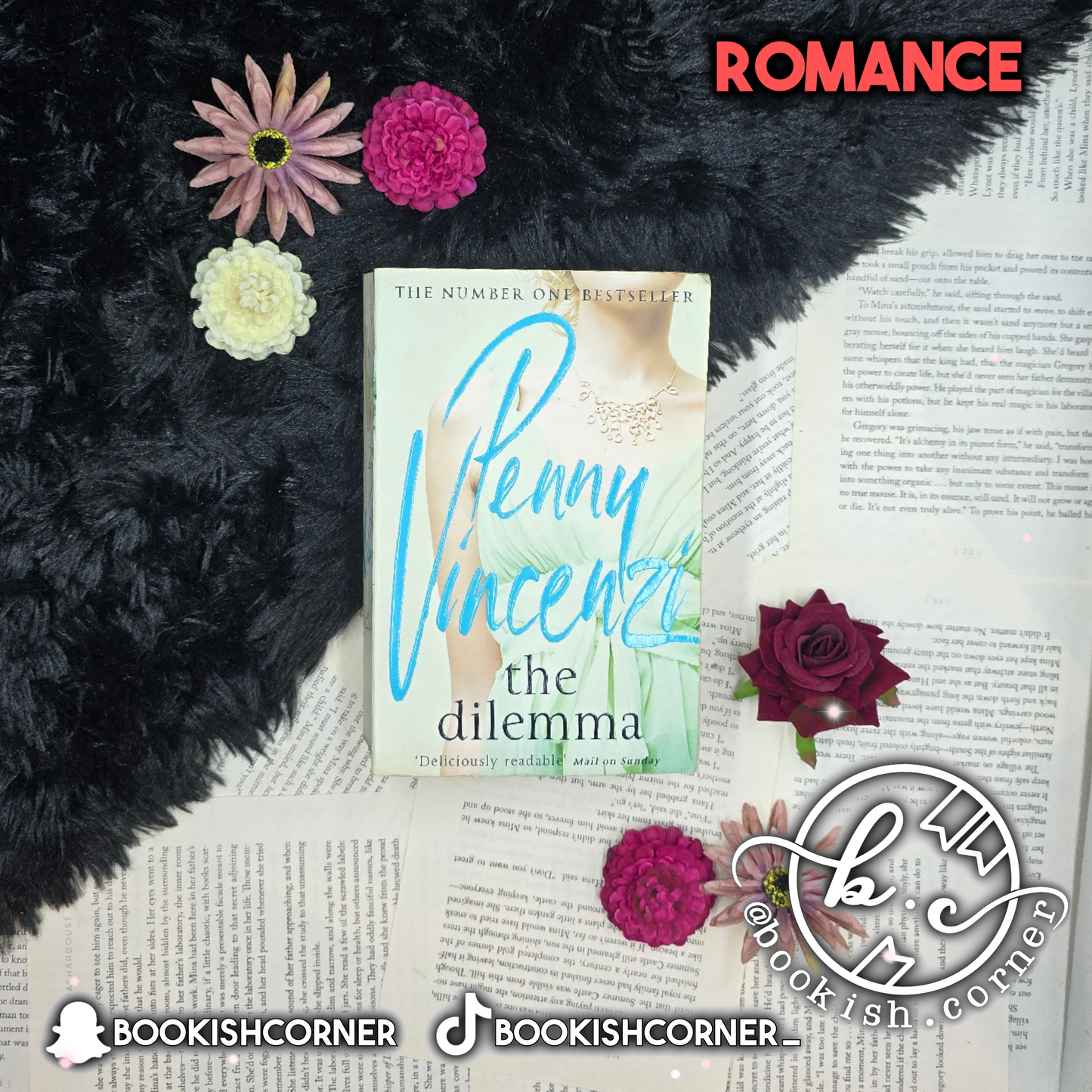 The Dilemma By Penny Vincenzi