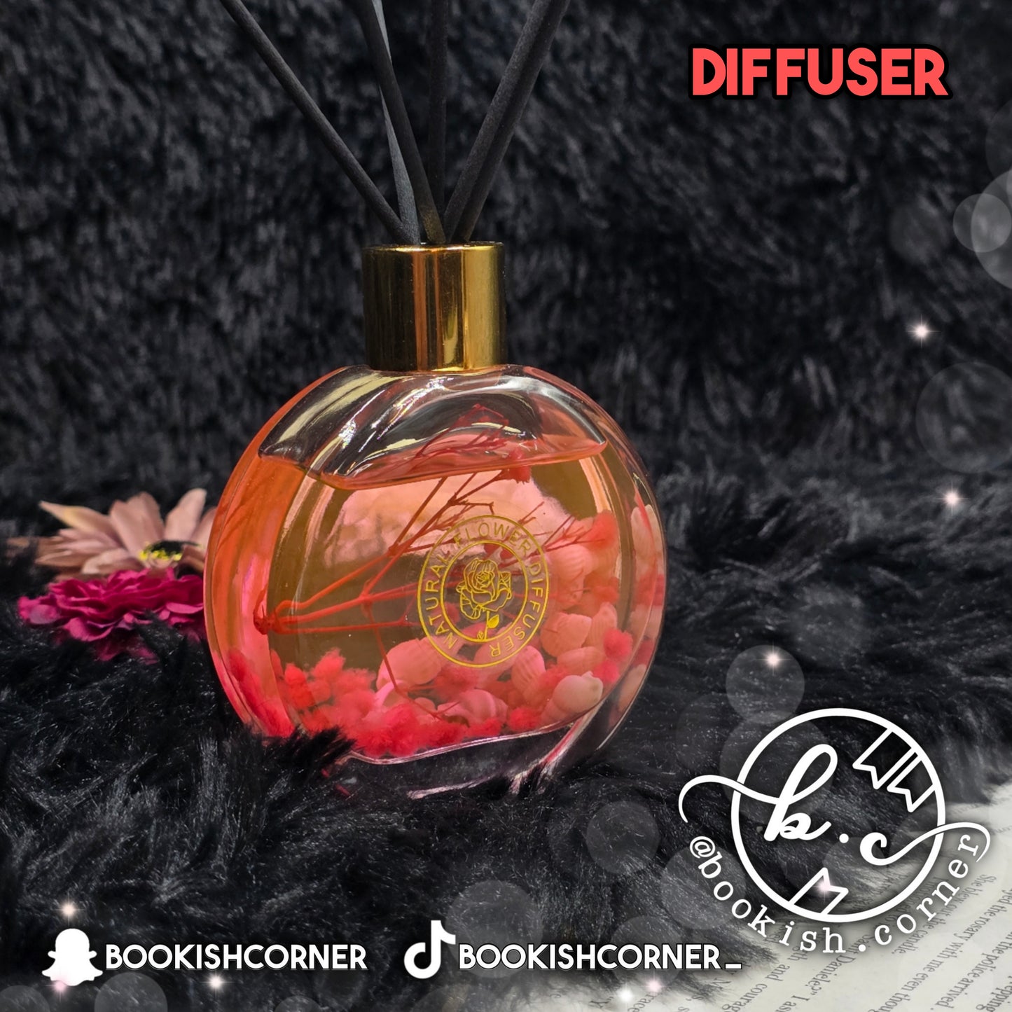 Seashells Scent Diffuser : Shangri-La