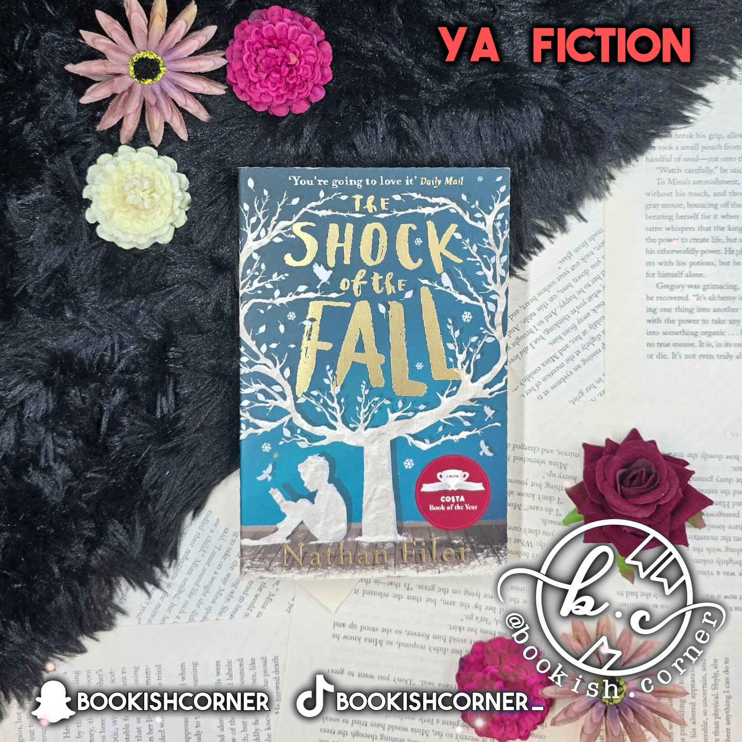 The Shock of the Fall By Nathan Filer