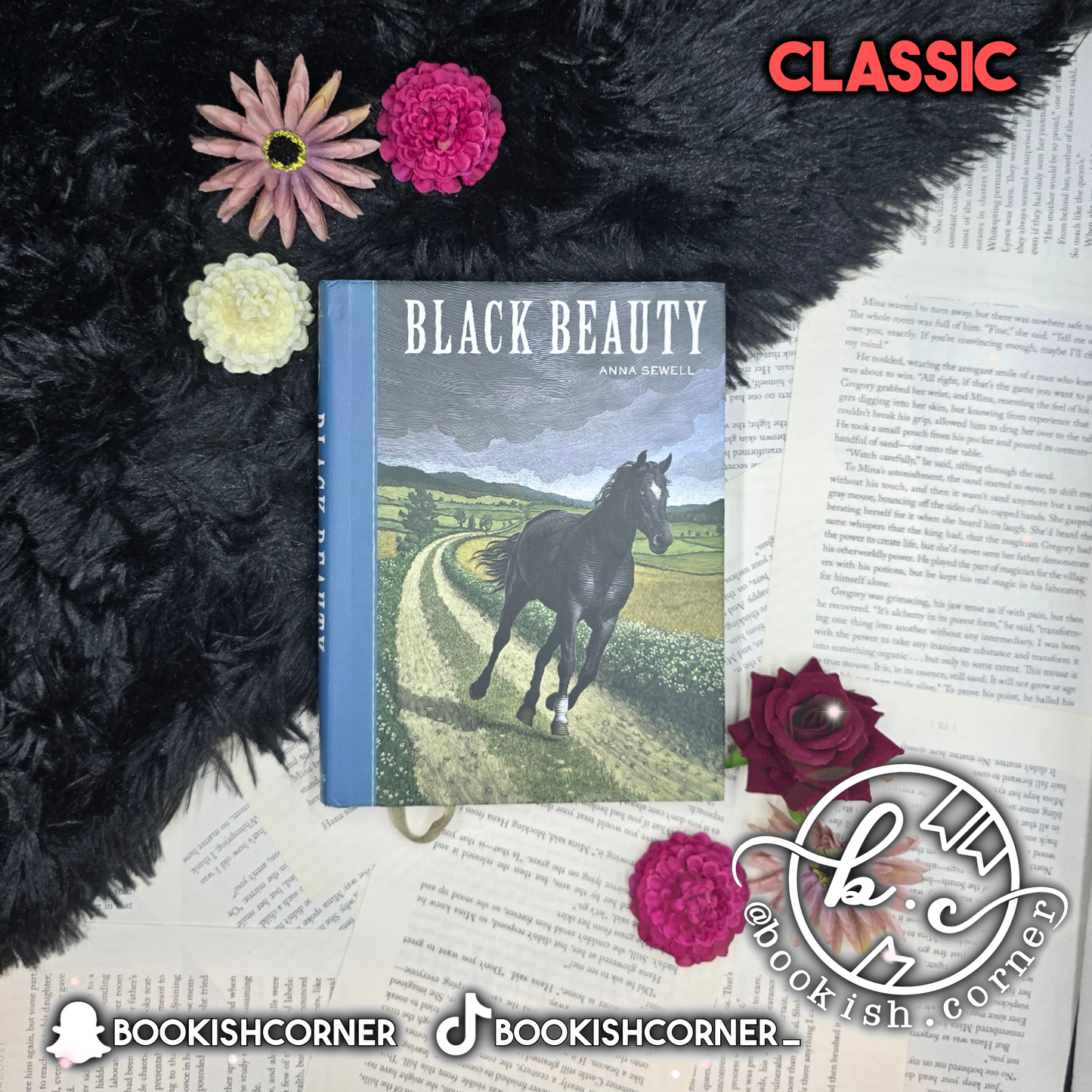 Black Beauty By Anna Sewell