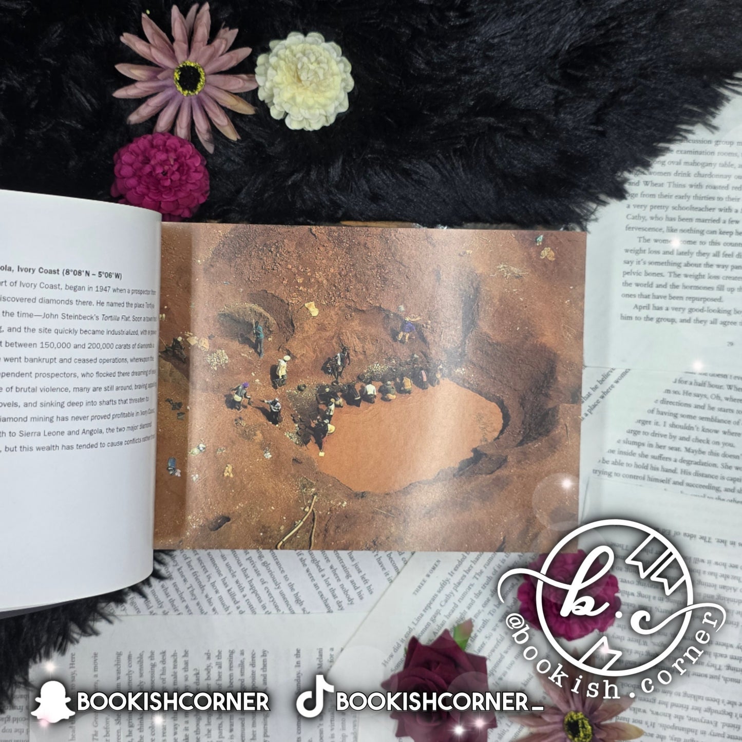 The New Earth From Above 365 Days