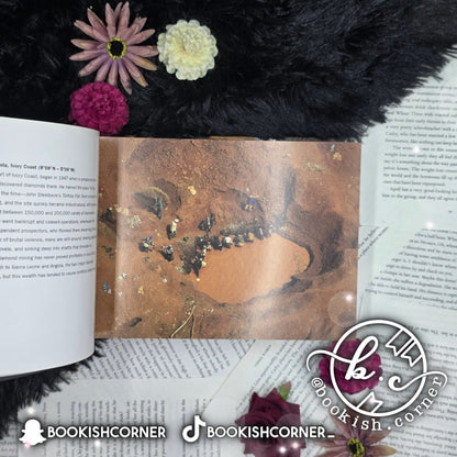 The New Earth From Above 365 Days