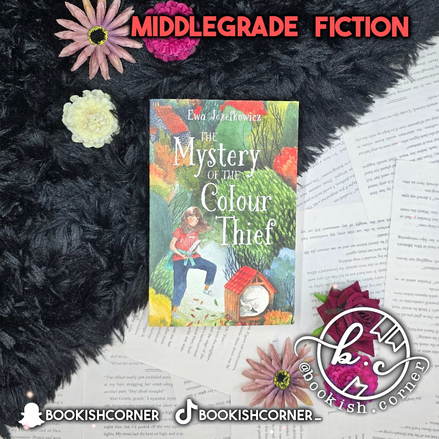 The Mystery of the Colour Thief By Ewa Jozefkowicz