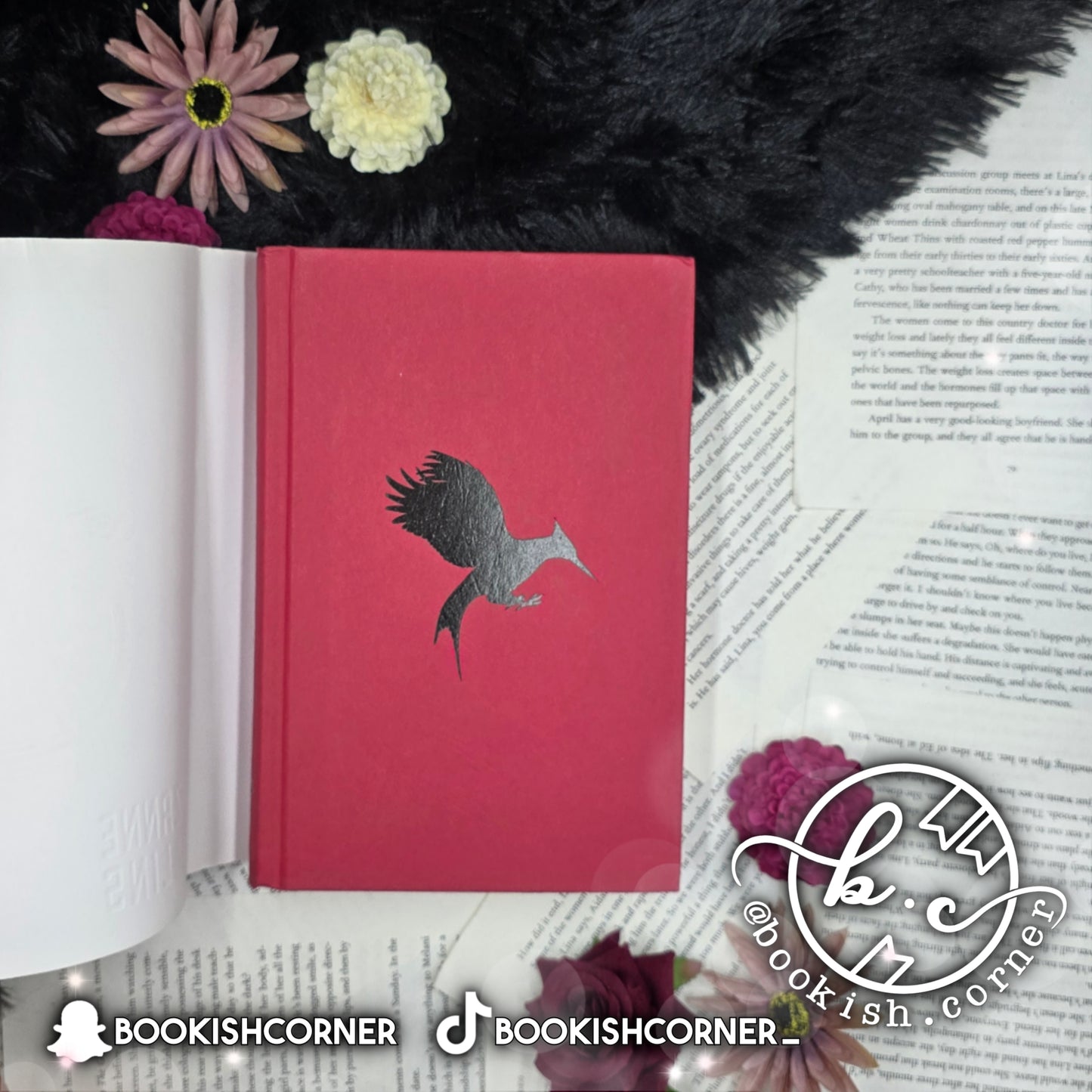 Catching Fire By Suzanne Collins