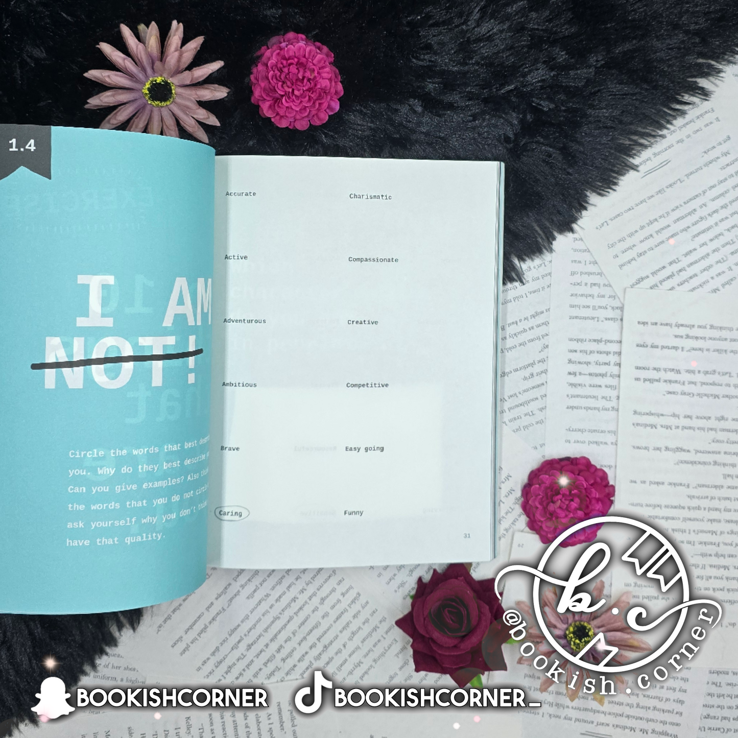 Once Upon a Time I Wanted to Be By Lavinia Bakker