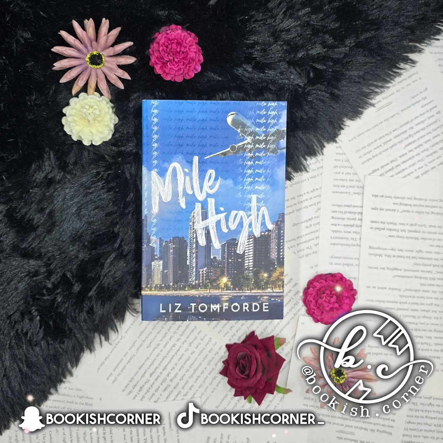 Mile High By Liz Tomforde