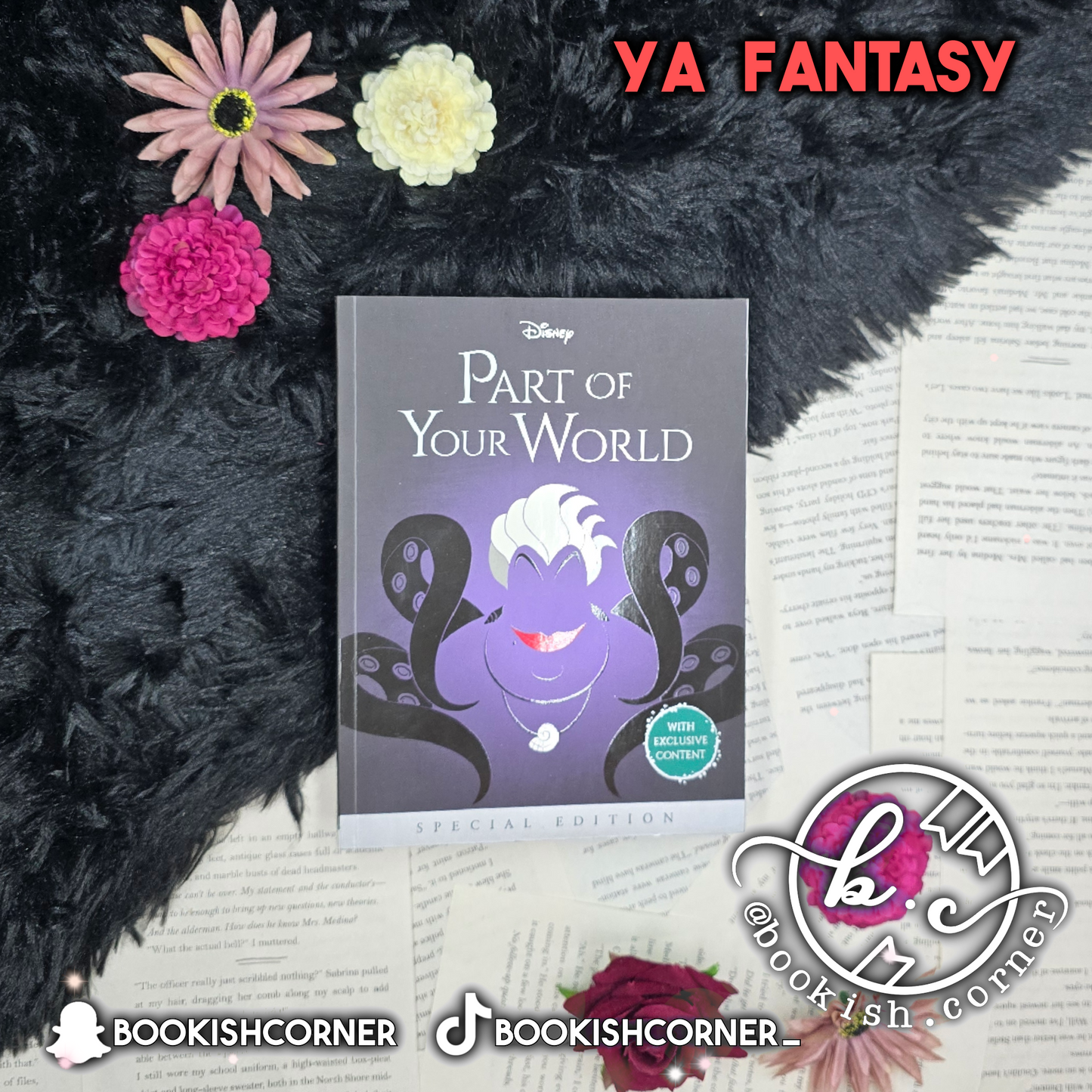 Part of Your World By Liz Braswell