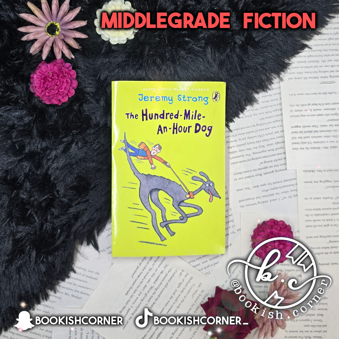 The Hundred-Mile-An-Hour Dog By Jeremy Strong