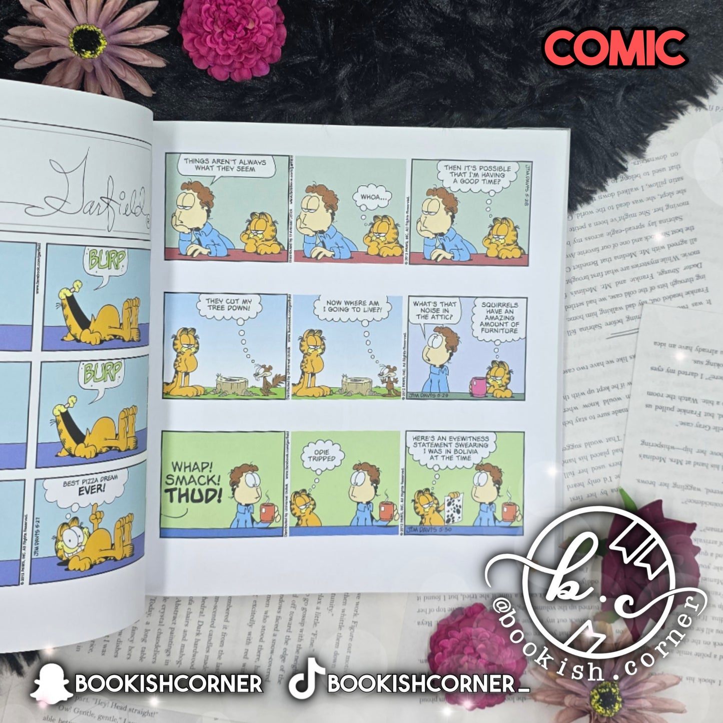 Garfield Fat Cat 3 Pack vol 19 by Jim Davis