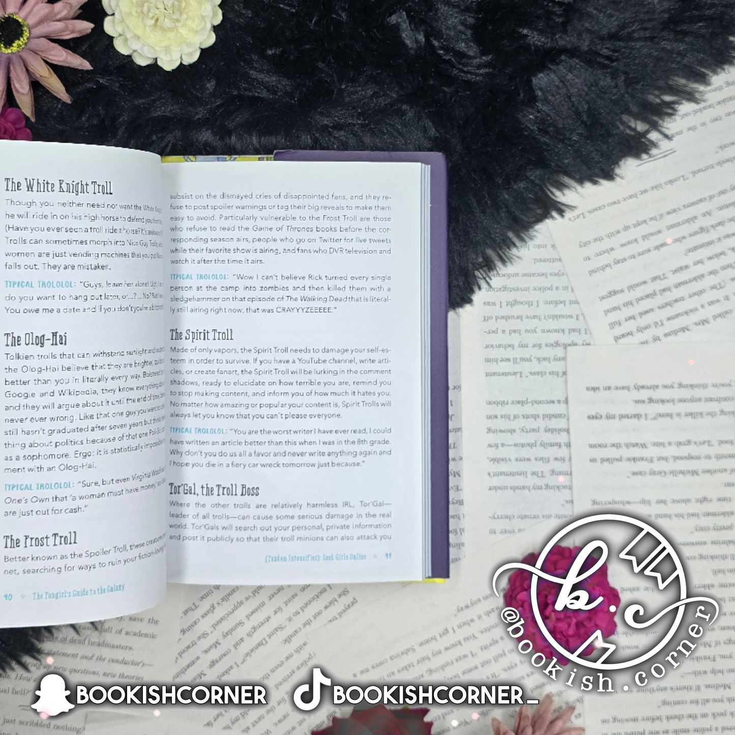 The Fangirl's Guide to the Galaxy By Sam Maggs