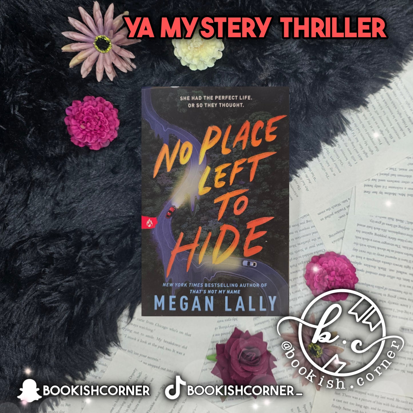 No Place Left To Hide By Megan Lally