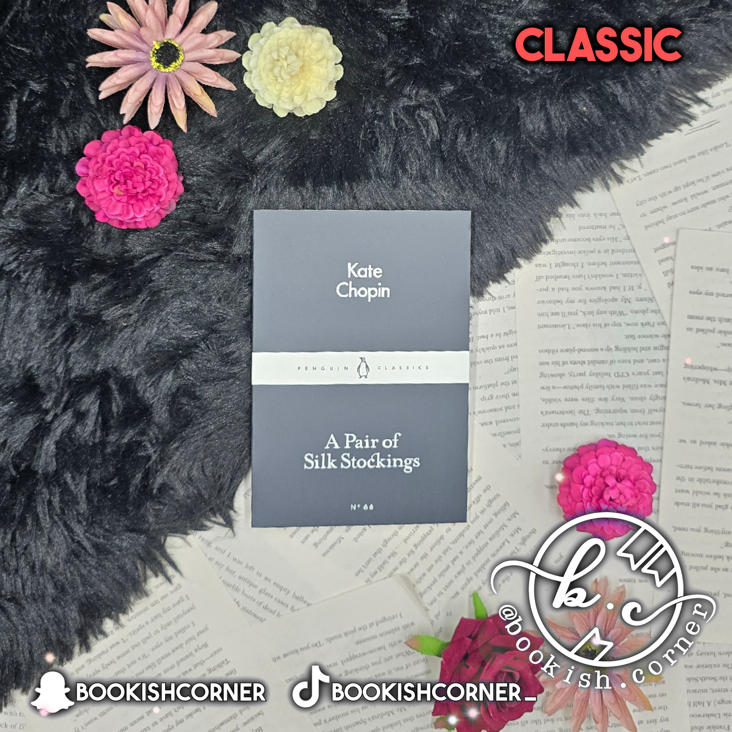 A Pair of Silk Stockings By Kate Chopin