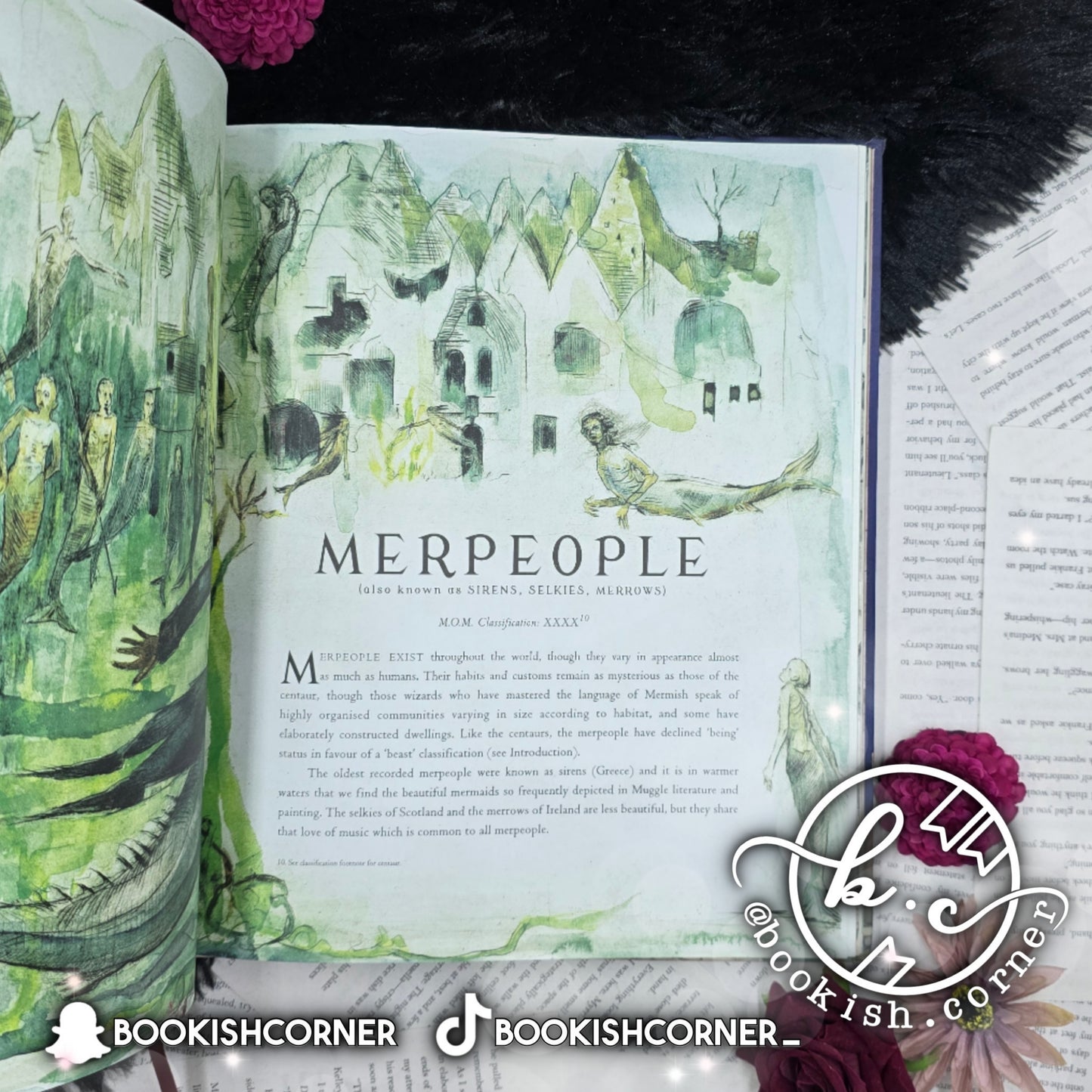 Fantastic Beasts and Where to Find Them - Illustrated Version By J K Rowling