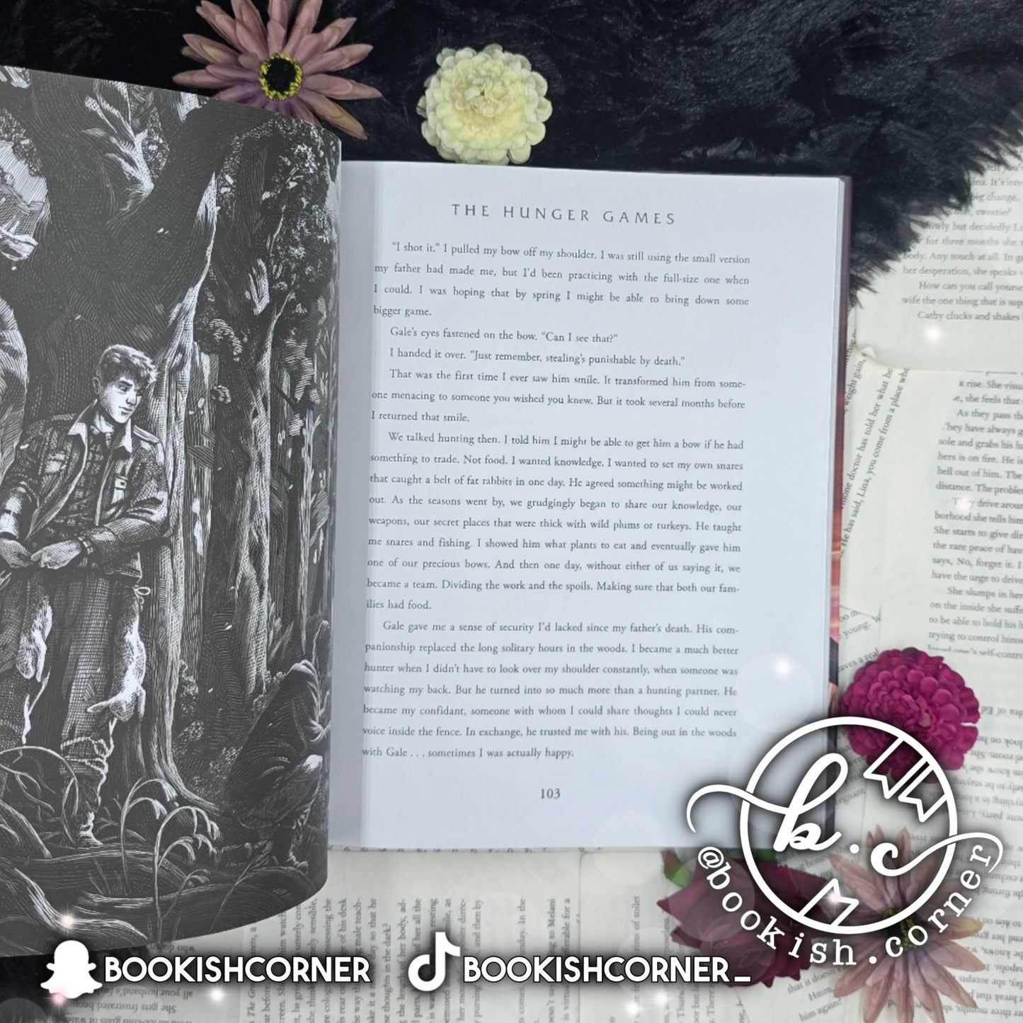 The Hunger Games : Illustrated Edition By Suzanne Collins , Nico Delort