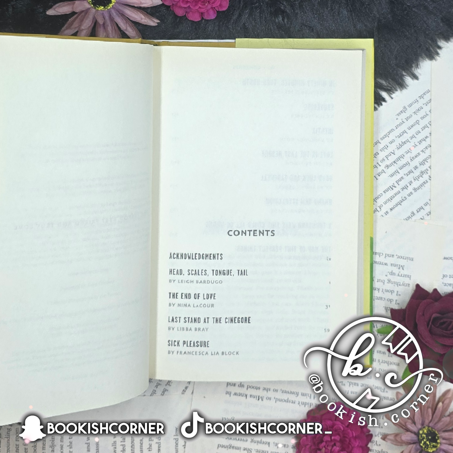 Summer Days and Summer Nights By Leigh Bardugo, Cassandra Clare and others