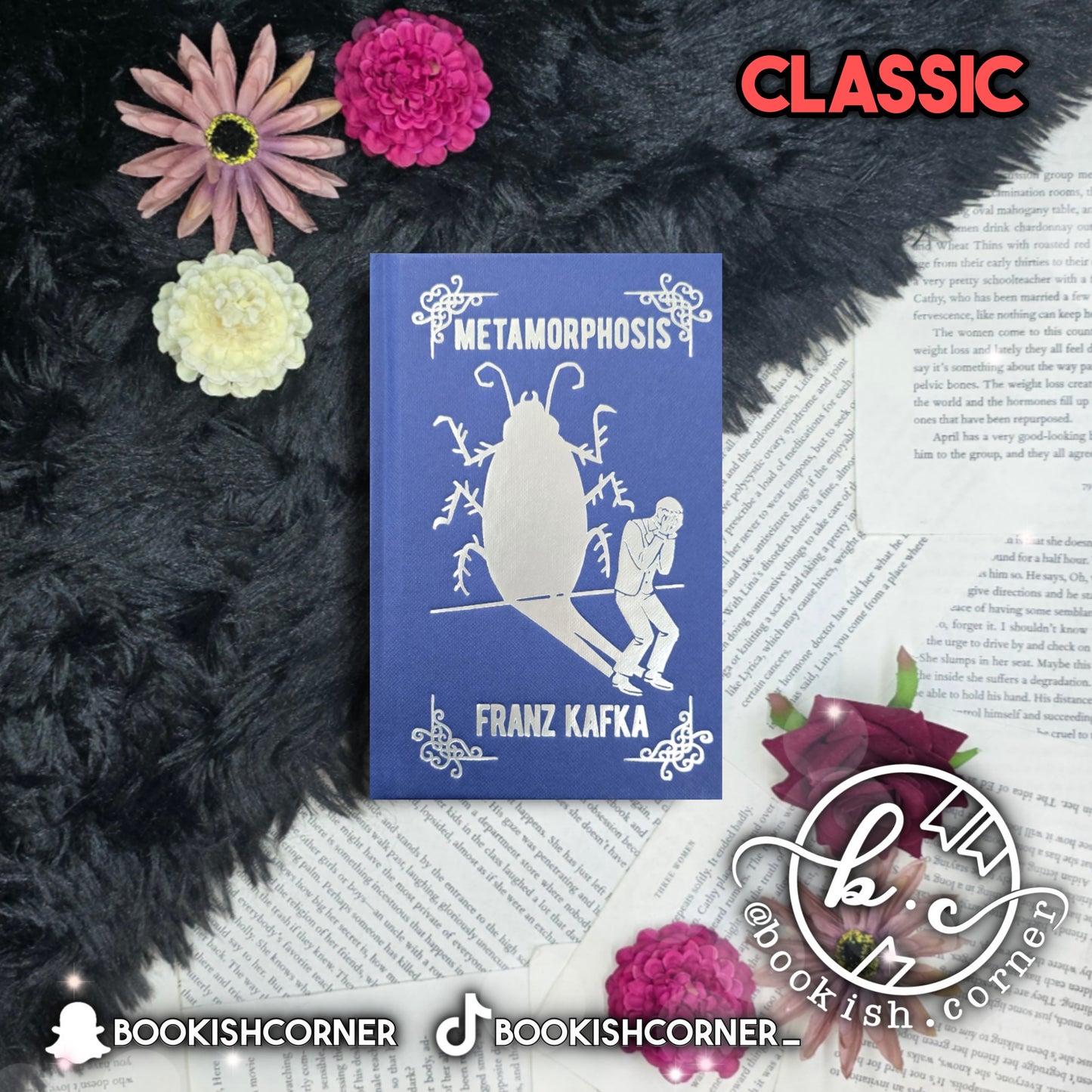 Metamorphosis By Franz Kafka