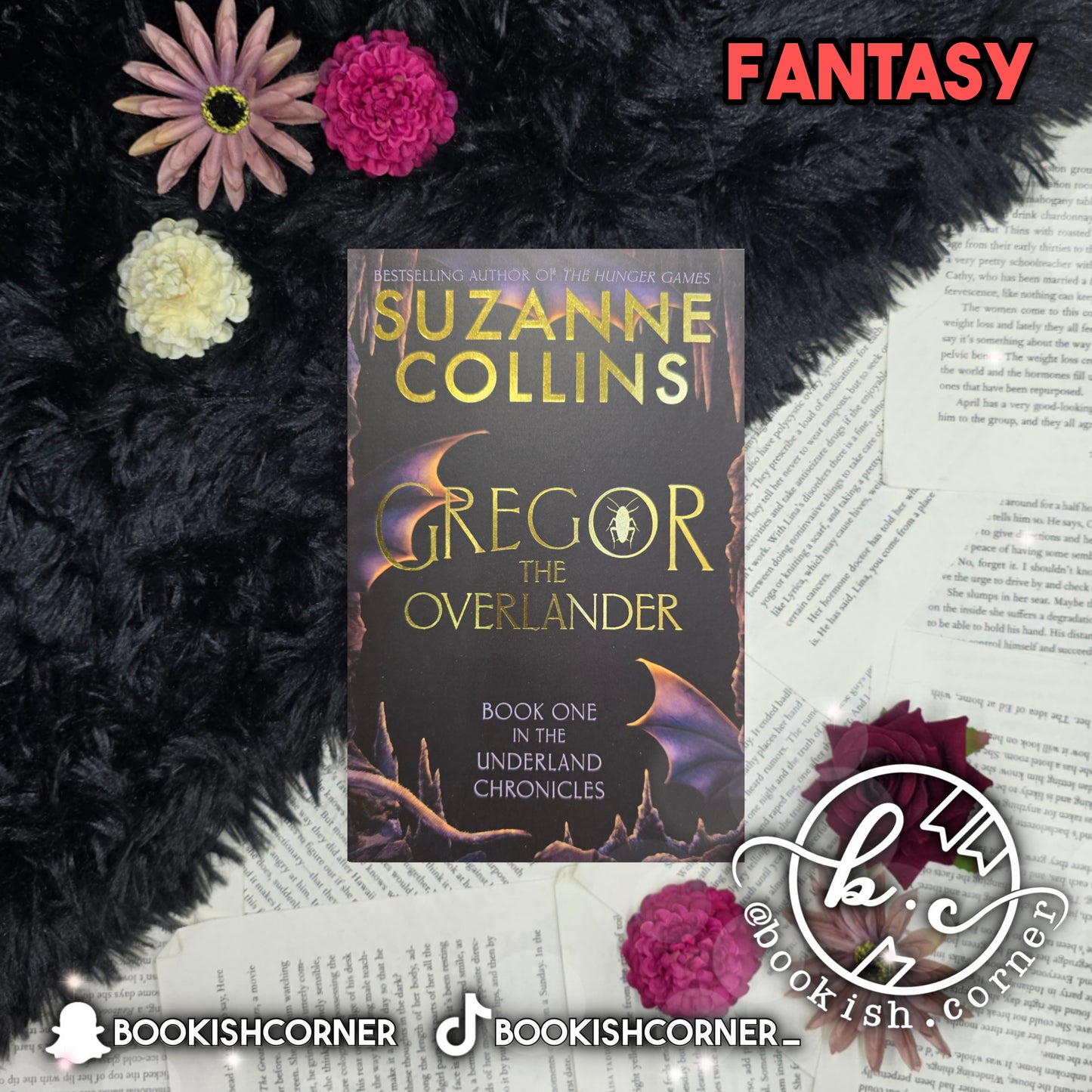 Gregor The Overlander By Suzanne Collins