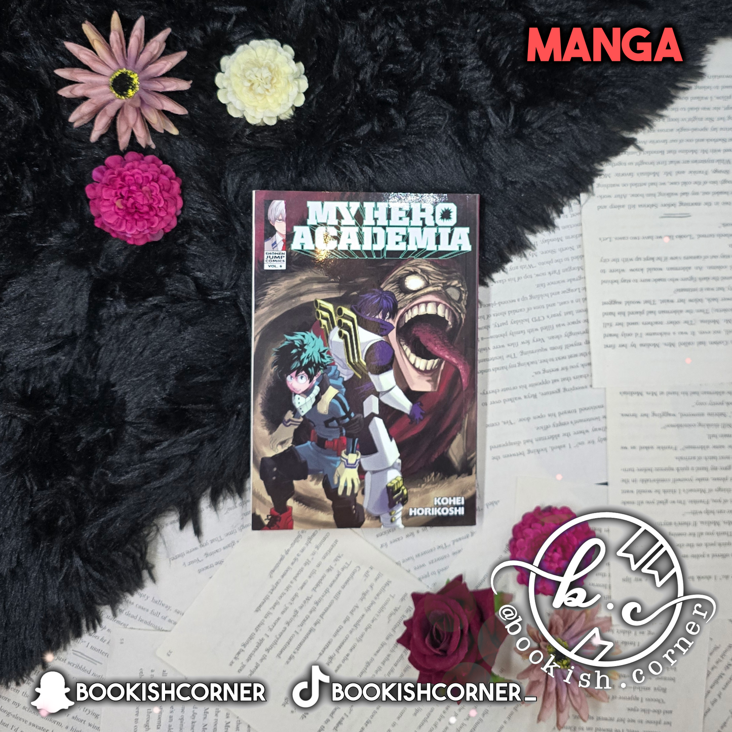 My Hero Academia Vol 6 By Kohei Horikoshi