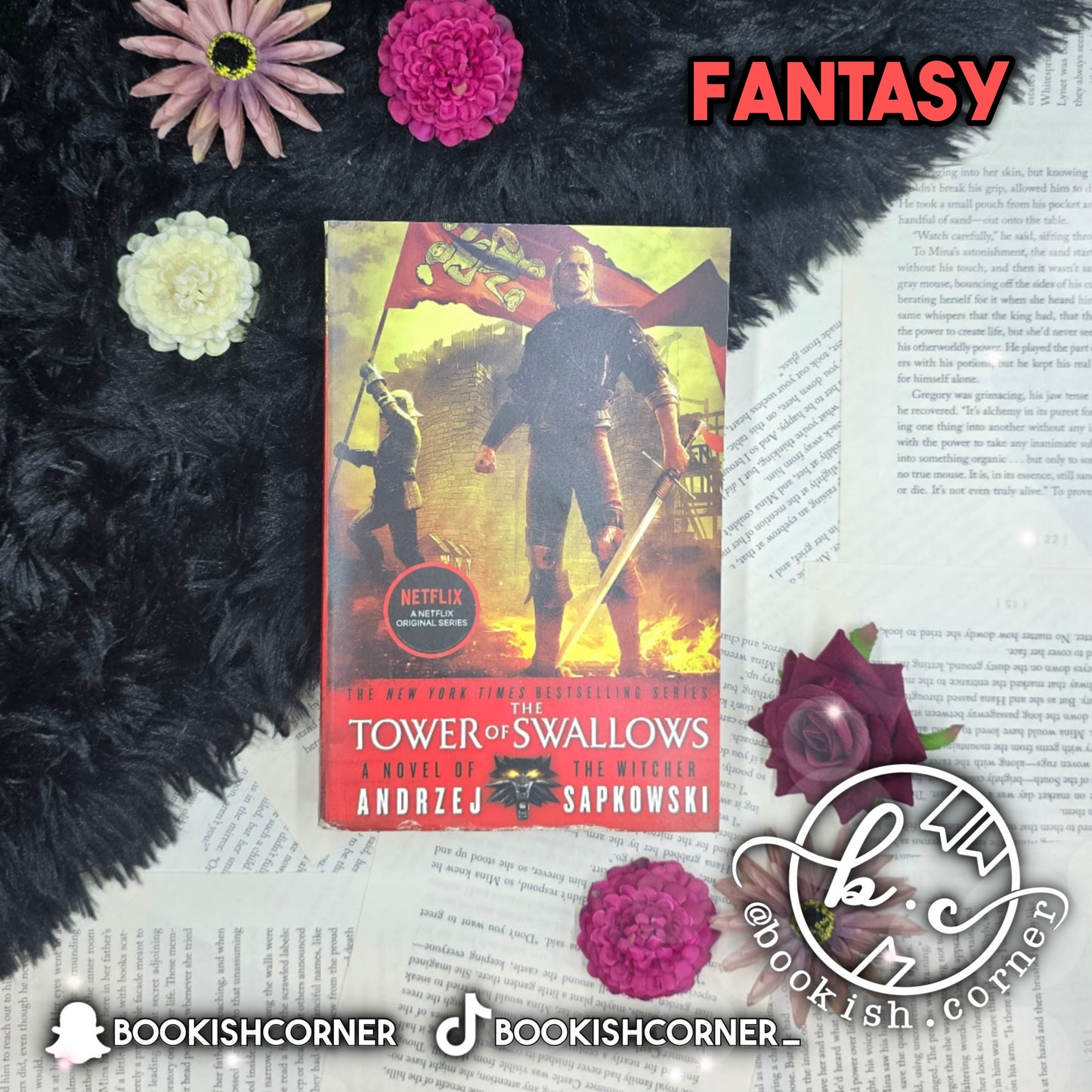 The Tower of the Swallow By Andrzej Sapkowski