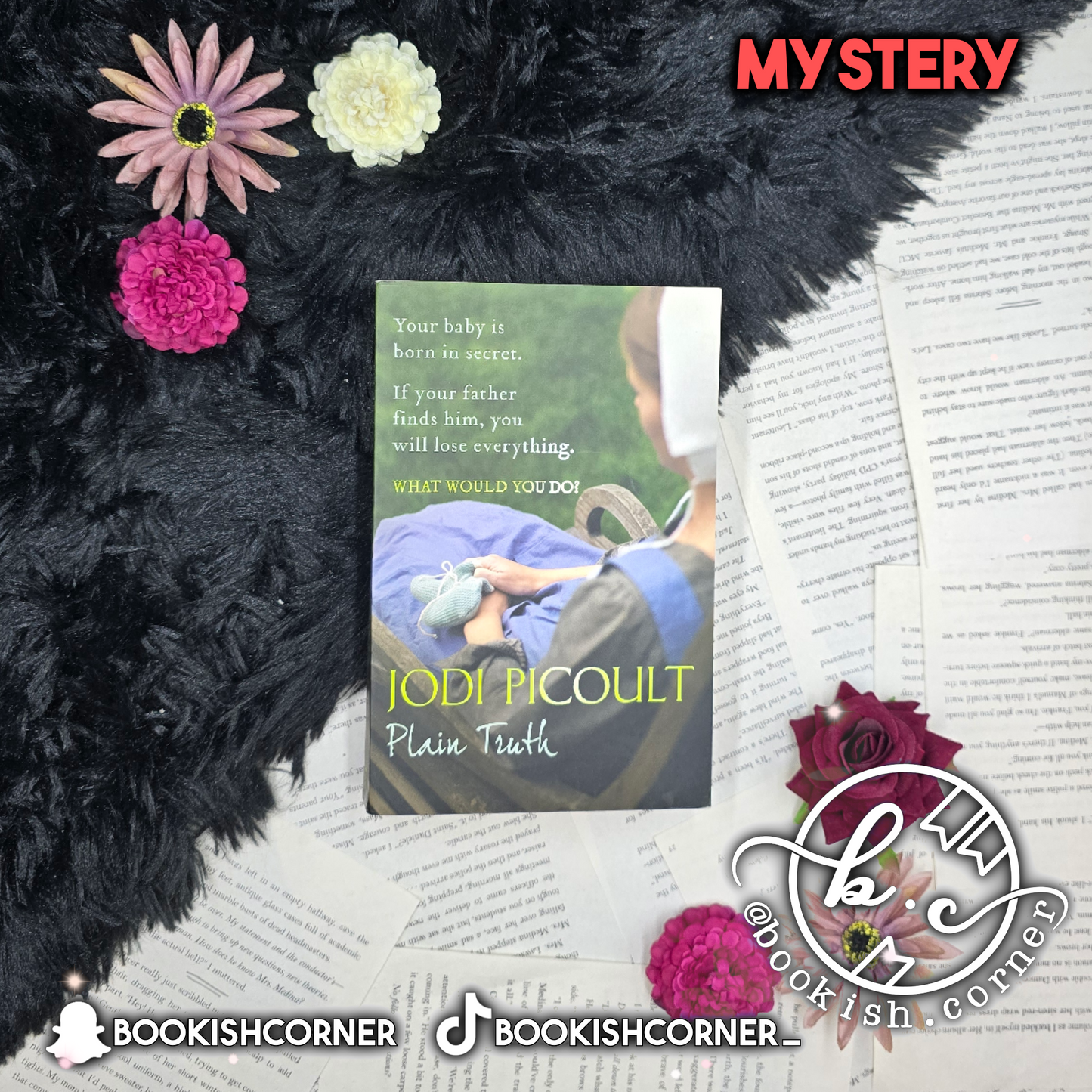 Plain Truth By Jodi Picoult