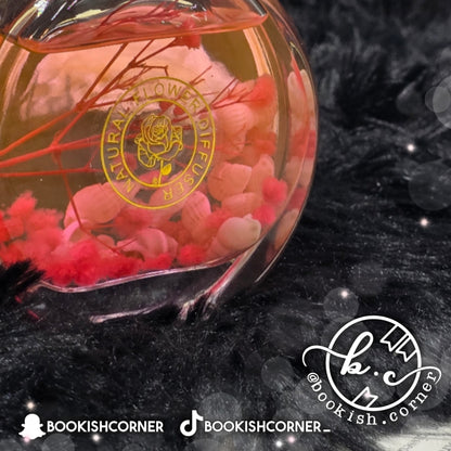 Seashells Scent Diffuser : Shangri-La