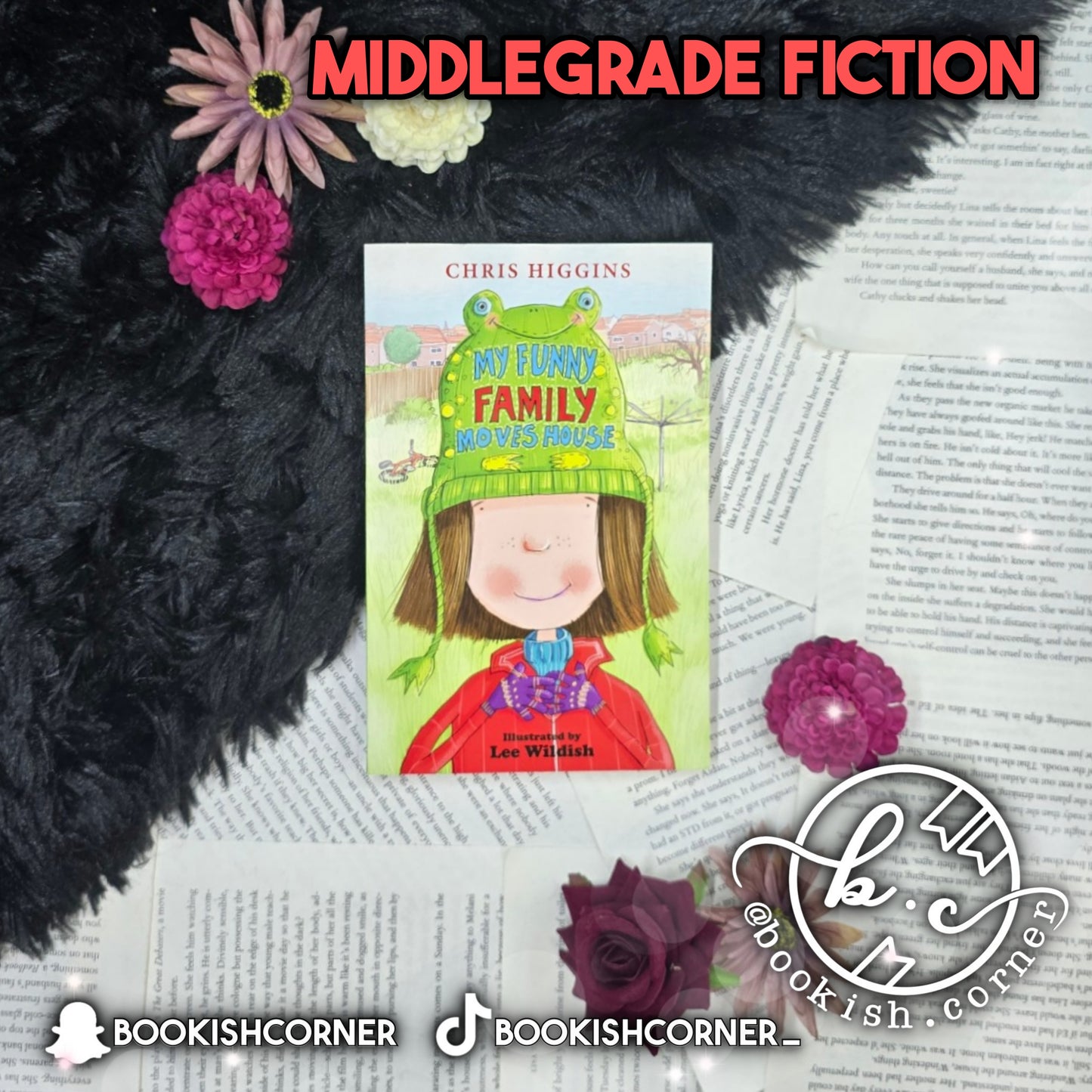 My Funny Family Moves House By Chris Higgins