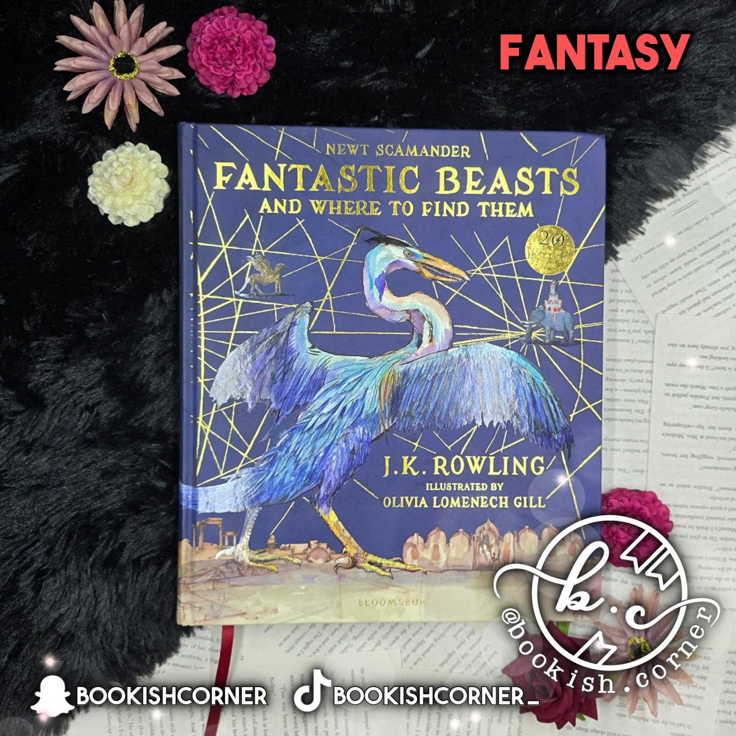 Fantastic Beasts and Where to Find Them - Illustrated Version By J K Rowling