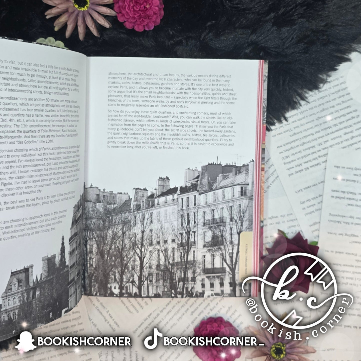 Paris By Janelle Mcculloch