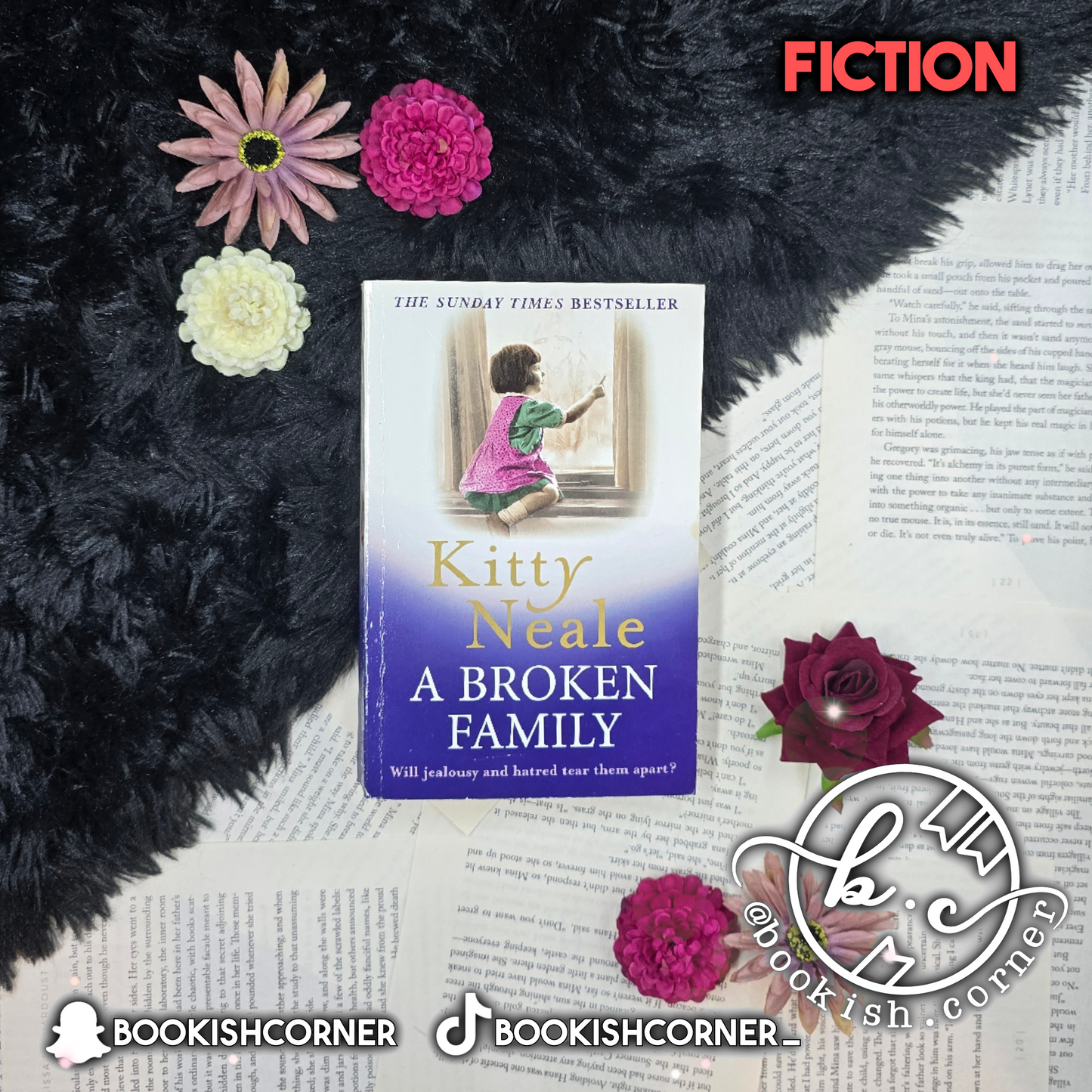 A Broken Family By Kitty Neale