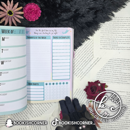 Disney Princess Dream Big